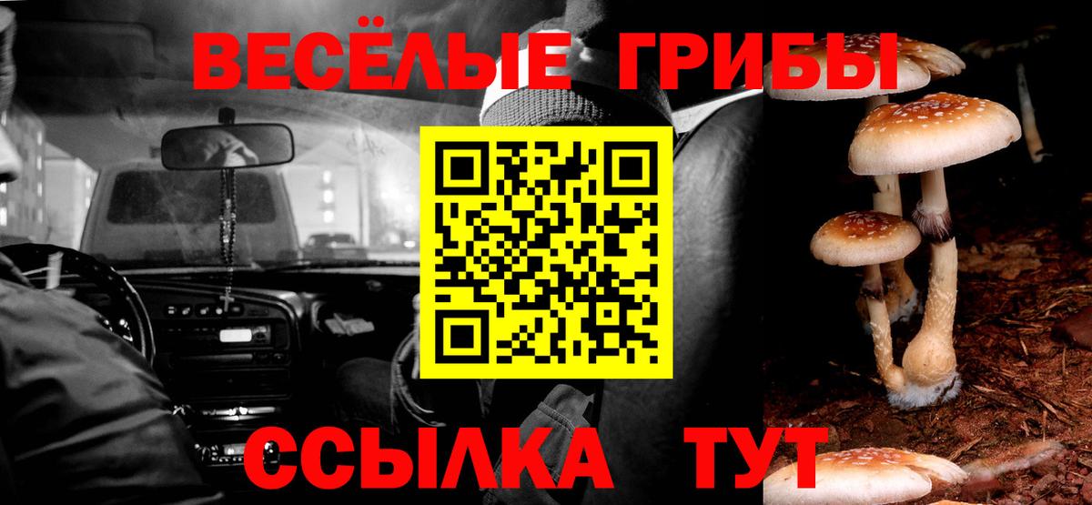 Псилоцибиновые грибы прущие грибы  купить  сайты  Кушва  Вход с VPN 