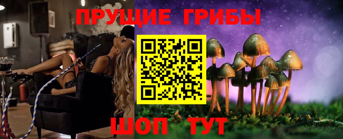 Псилоцибиновые грибы мицелий Кушва